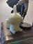 Mudkip(Pokemon) P181160 2