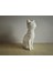 Voronoi Kedi Heykeli P831347 1