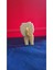 Hamur Kesici Aslan - Aslan Hamur Kesici T1159217 2