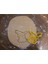 Hamur Kesici Pikachu (Pokémon) T4881957 5