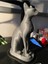 Mısır Kedisi Heykelcik T1378163 3