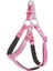 Köpek Göğüs Tasması 45cm Small 2