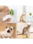 Avokado Model Yapışkanlı Kedi Oyuncağı Yenilebilir Kedi Nanesi Otu ( Lisinya ) 4