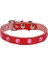 Taşlı Kedi ve Yavru Köpek Tasması 1,0X19 cm Kırmızı Small 2