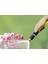 Karcher Pirinç Bahçe Sulama Nozulu (Lisinya) 2
