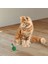2Li Rattan Renkli Peluş Tüy Kedi Köpek Oyuncak Yakalama Çiğneme Çıngıraklı Top Oyuncağı ( Lisinya ) 5