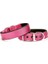 Softlu Köpek Boyun Tasması 3 cm x 55 cm Mor 1
