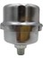 OEM Kompresör Filtresi Metal 25 - 50 Lt 1/4 (Lisinya) 1