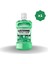 Di̇ş ve Di̇ş Eti̇ Korumasi Hafi̇f Tat 250 ml - 1 Adet 1