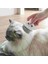 Pet Kombu Ev Içi Tüy Bakımı Yeniden Kullanılabilir Kedi Fırçası Taşınabilir Kürk Kedi Aksesuarı Masaj Renk: Açık Gri (Yurt Dışından) 1