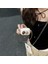 Apple AirPods Pro 1. / 2. Nesil Uyumlu Kılıf Kalp Leopar Taş Kiraz Desenli Fiyok Tutmalı Kılıflar 5