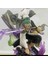 One Piece Anime Wano Country Rooftop Zoro Kimono Three Swords Zoro El Yapımı Model Süsleri (Yurt Dışından) 4