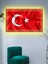 Türk Bayrağı (Al Bayrak)-Led-Işıklı Seri 1