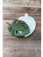 Monstera Küçük Silikon Tepsi Kalıbı 2