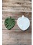 Monstera Küçük Silikon Tepsi Kalıbı 5