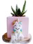 Pony Silikon Kalıp K-754 Kokulu Taş Mum Alçı Polyester Kile Uygun 5