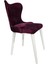 Hasağaç Cervo Ahşap Modern Sandalye 1