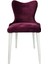 Hasağaç Cervo Ahşap Modern Sandalye 2