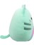 Nessiworld Squishmallows Corrina Turkuaz Kedi 50 cm 2