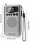 Retekess TR106 Taşınabilir Radyo LCD Ekranlı Mp3 Oynatıcı (Yurt Dışından) 3