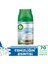 Airwick Freshmatic Makine Yedek Lavanta + Bahar Çiçekleri + Temizlik Esintisi 5