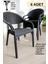 Bambu Rattan Kollu Sandalye Koltuk 6'lı Set 1