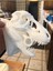 T-Rex Perde Çubuk Tutucu T5424888 4