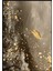 kahverengi-Gold Yaprak Desen Soyut Model 1|çerçeveli Temperli Cam Tablo Tekli Dikey 2
