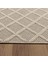Geometrik Çizgiler Modern Tasarımlar Iskandinav Dokuma Taban Iç ve Dış Mekan Ince Sisal Halı Bej 4
