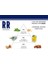 RR Fine EDT Erkek Parfümü 50ML 3