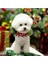 Gold Parlak Kulplu Çan Zil Hayvan Tasma Zili Amigurumi Zili Kına Gecesi Tef Yapımı Zili 20MM 20 Adet 4