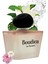 Kadın Parfüm | Crystal Noir | Yüksek Esanslı | Kalıcı | Boudica | 100 ml 3