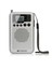 Hanrongda HRD-103 Dijital Radyo Stereo Taşınabilir Alıcı (Yurt Dışından) 1
