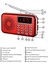 Y-619 Mini Fm Radyo Taşınabilir 3W Hoparlör 2 Inç Ekranlı (Yurt Dışından) 4