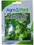 Agro Plant Maydanoz tohumu 25GR PAKET D'giant Italiana 1