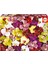 1000 Parça Puzzle Orkide Çiçek Kolajı - Orchid Collage - 19558 1