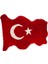Ay Yıldız Desenli Hakiki Koyun Postu Halı BYRK001 1