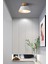 Dolly Modern Hol Koridor Giriş Için Tekli Plofonyer Metal Avize 1