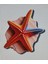 2 Adet 3D Görünümlü Deniz Yıldızı Magnet 6 x 9 cm 1