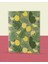 Pattern Meyveler Koleksiyonu - A6 Zımba Dikişli 5 Adet Meyve Temalı Defter - 10,5X14,5 cm 2