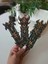 Orc Banners Kitap Ayracı 2