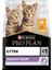 Tavuklu Yavru Kedi Maması 1 kg (Açık) 1