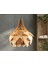 Ingiliz Tarzı Çınar Yaprağı Modern Globe Küre Doğal Ahşap Mdf 3D Lazer Kesim Rustik Salon Avize 1