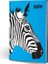 Color Hayvan Figürlü Dokulu Defter Çizgili Zebra 1