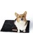Luxury Warmo Kendinden Isınan Kedi Köpek Matı Small 1 Adet 2