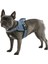 Luxury Belden Köpek Tasması Maestro 2.0 - S 45-60 cm x 15 mm 1 Adet 1