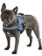 Luxury Belden Köpek Tasması Maestro 2.0 - S 45-60 cm x 15 mm 1 Adet 3