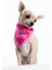 Luxury Boss Babe Köpek Bandana M 1 Adet 1