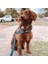 Luxury Quick Fit Harness - Denim 1 Adet 2