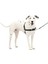 Luxury Petsafe Easy Walk Köpek Koşum Takımı 1 Adet 1